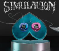 SIMULACIÓN