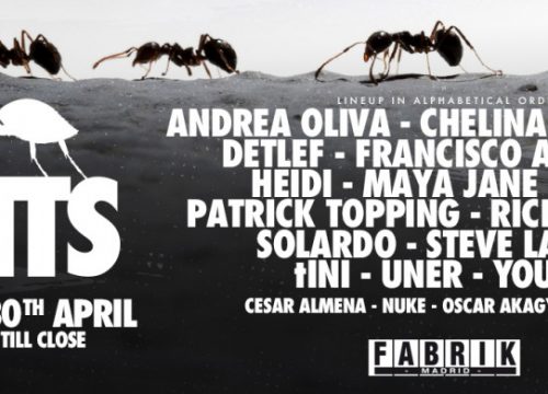 Ants, desde Ushuaïa a Fabrik