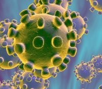 «Virus» arrasa en Netflix en tiempos del coronavirus