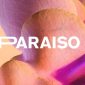 paraiso-festival-2020