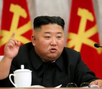 Kim Jong-un prohíbe los perros como mascota en Corea del Norte