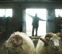 ‘Rams’: la nueva película de Sam Neill en la que se convierte en granjero