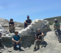 Histórico descubrimiento paleontológico en Teruel