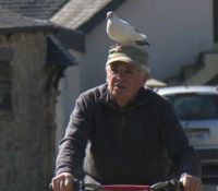 La tierna amistad entre un jubilado y su paloma se viraliza