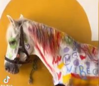 Unos niños pintando un caballo e indigna a las redes sociales: «Pintarlos es tortura»