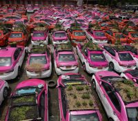 Convierten un ‘cementerio’ de taxis en una huerta sobre ruedas en Bangkok