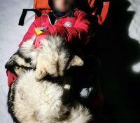 North: El perro que salvó la vida a un montañista tras caer de una montaña de  150 metros