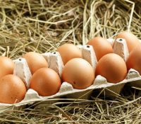 Número impreso en los huevos: ¿ Qué nos indican?