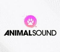 Animal Sound regresa este 2022 a Murcia