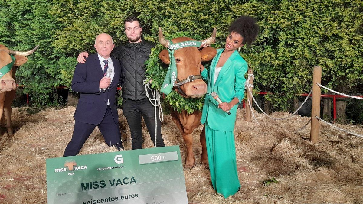 Miss vaca 2022, el concurso de belleza más animal