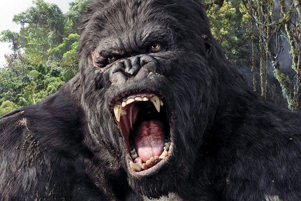 Disney + confirma una nueva serie de ‘King Kong’