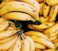 Los beneficios del plátano en el deporte