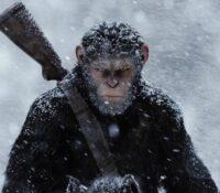 Arranca una nueva película de ‘El Planeta De Los Simios’