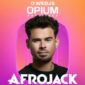 Afrojack en Wedj's 2024