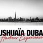 Ushuaïa Dubai Harbour Experience