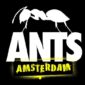 ADE 2024 ANTS