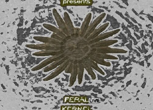 Organic Signs presenta: FERAL en directo